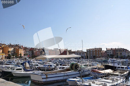 Image of Colourful Croatian  Marina with seagulls