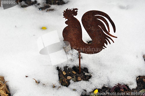 Image of Metal cock in snow