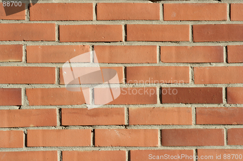 Image of Natural Texture