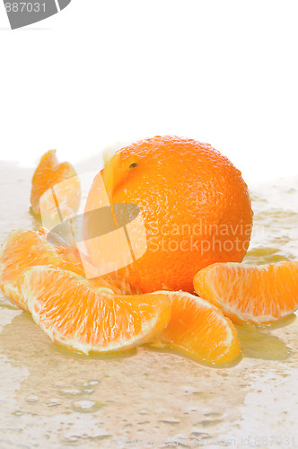 Image of orange fruit