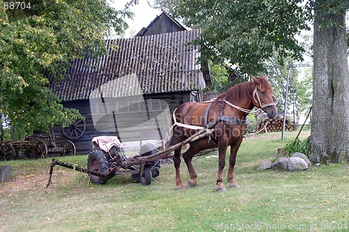 Image of Rural Landscape