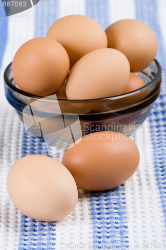 Image of brown eggs