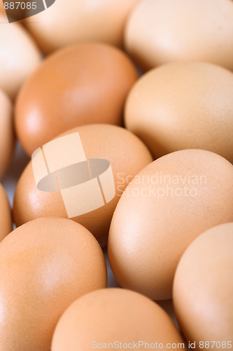 Image of brown eggs