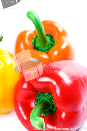 Image of three bell peppers