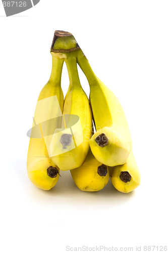 Image of bananas bunch