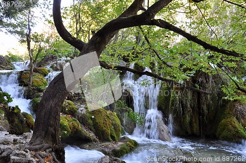 Image of Small river and waterfalls