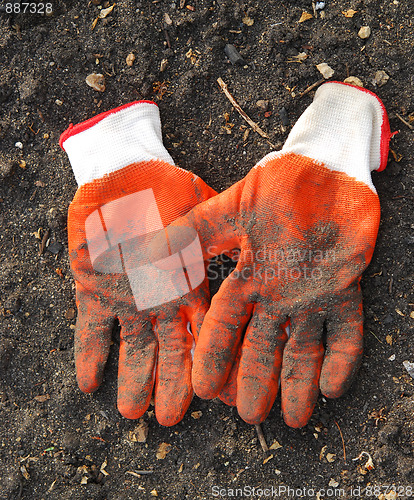 Image of gloves