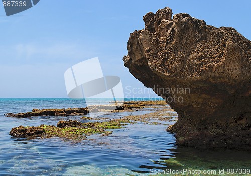 Image of Scenic sea coast landscape with rocks and weeds