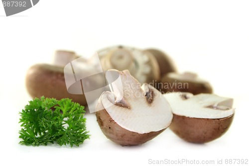 Image of Mushroom