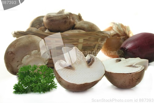 Image of Mushroom