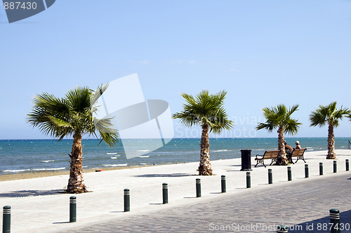 Image of Seaside Avenue "Foinikoudes", Larnaca Cyprus promenade