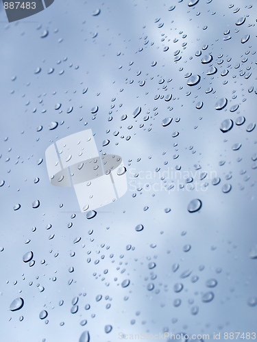 Image of Rain droplets