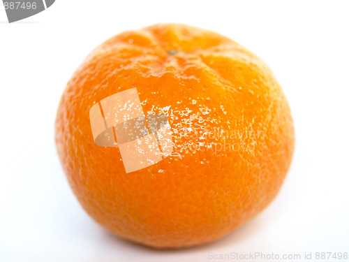 Image of Tangerine