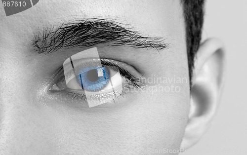 Image of Blues Eyes