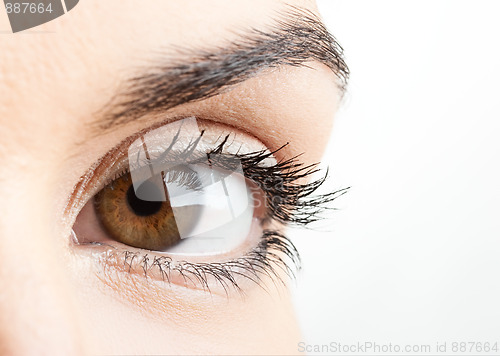 Image of Female eye