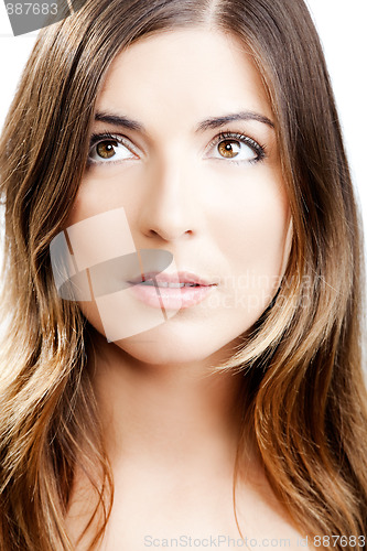 Image of Woman portrait