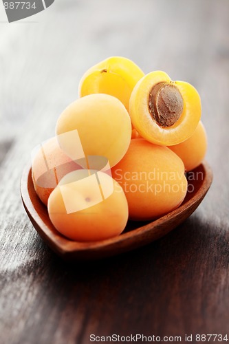 Image of fresh apricots