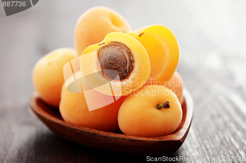 Image of fresh apricots