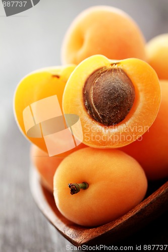 Image of fresh apricots