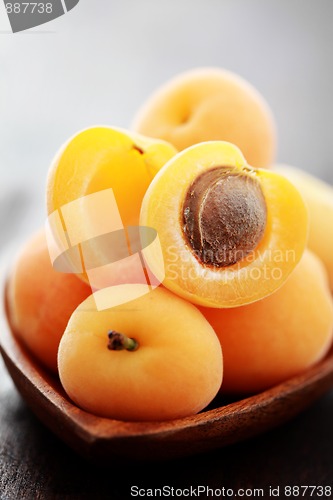 Image of fresh apricots