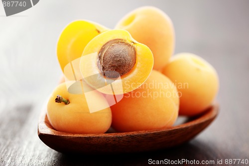 Image of fresh apricots