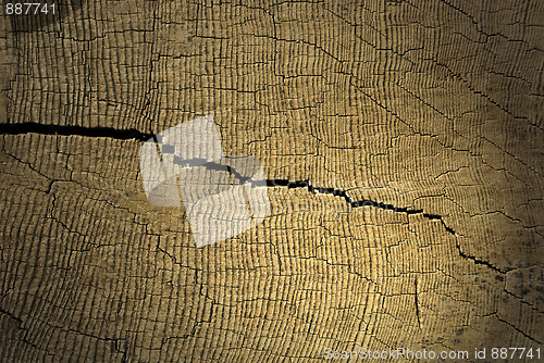 Image of Crack