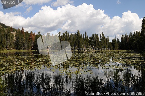 Image of Nymph Lake