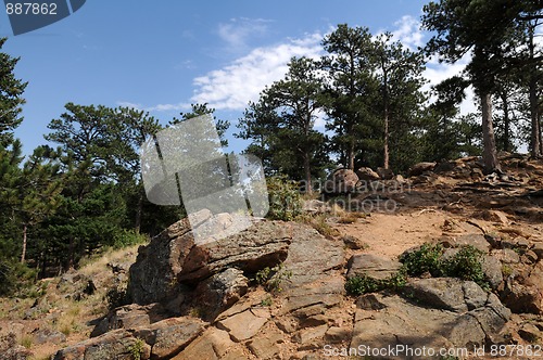 Image of Lookout