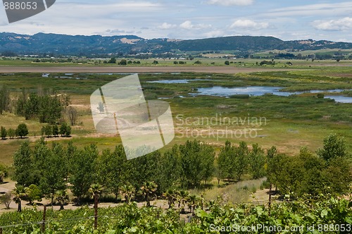 Image of Sonoma Valley