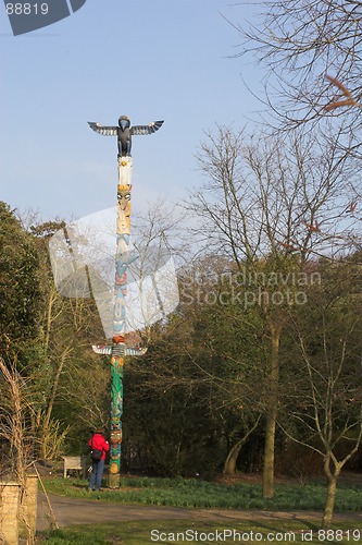 Image of man looking at totem pole