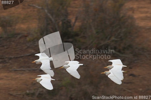 Image of Formation Flying