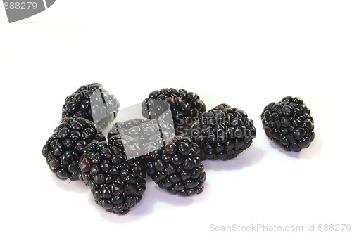 Image of Blackberries
