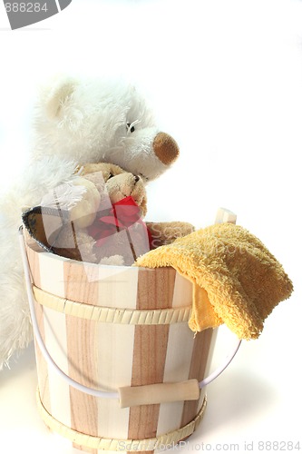 Image of Teddy Laundry