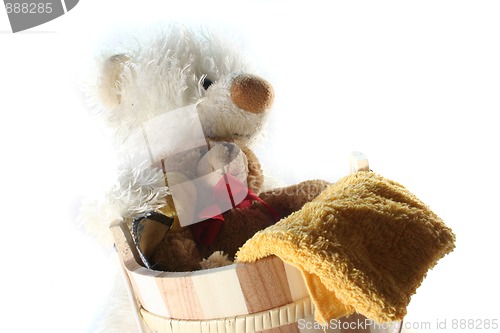 Image of Teddy Laundry