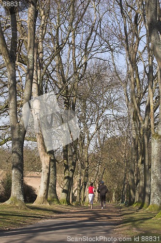 Image of Jogging couple in park