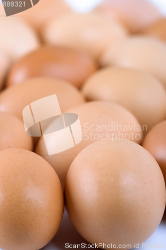 Image of brown eggs 