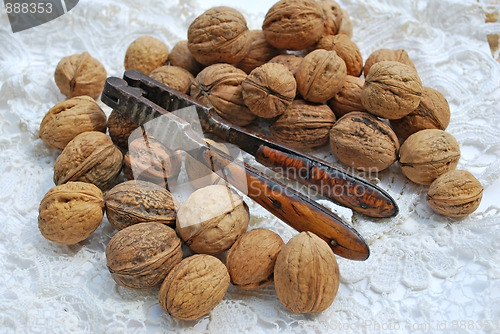 Image of nuts and nutcrackers