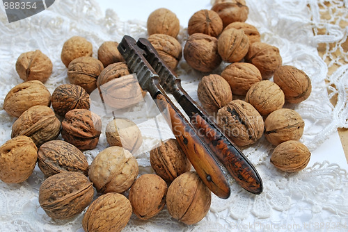 Image of nuts and nutcrackers