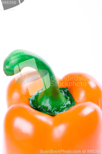 Image of orange bell pepper