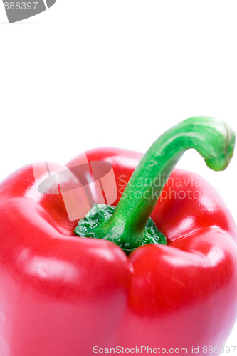 Image of red bell pepper