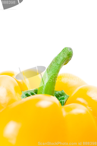 Image of yellow bell pepper 