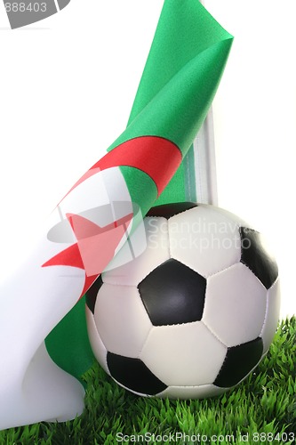 Image of World Cup 2010