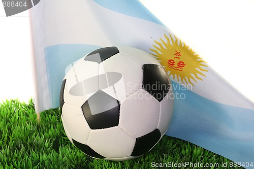 Image of World Cup 2010