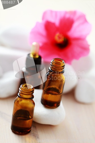 Image of hibiscus essential oil
