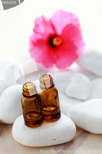 Image of hibiscus essential oil