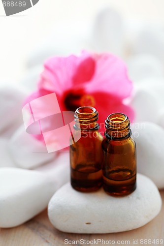 Image of hibiscus essential oil