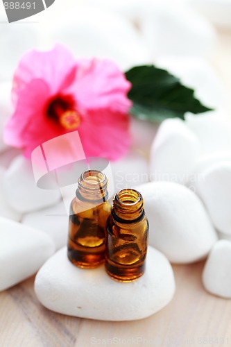 Image of hibiscus essential oil