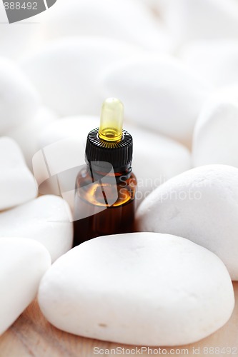 Image of essential oil