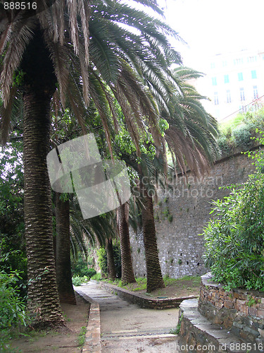 Image of Romieu Gardens Bastia Corsica France