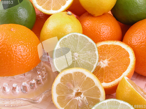 Image of citrus squeezer